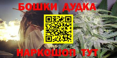 стафф Новодвинск