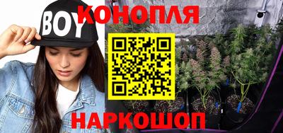 стафф Новодвинск