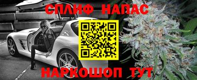 дживик Новозыбков