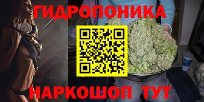 дживик Новозыбков