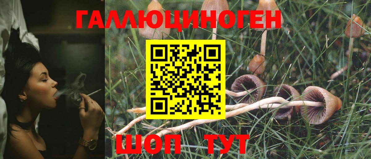 Сланцы  Псилоцибиновые грибы прущие грибы  Вход с VPN 